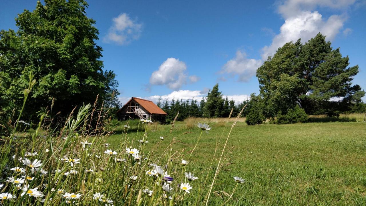 Suurekivi Kuelalistemaja Hotel Reigi Екстериор снимка